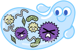 船堀の歯医者、ライフケアデンタルオフィスで、唾液が少ないとどんな問題が起こる？ドライマウスの影響と対策を解説